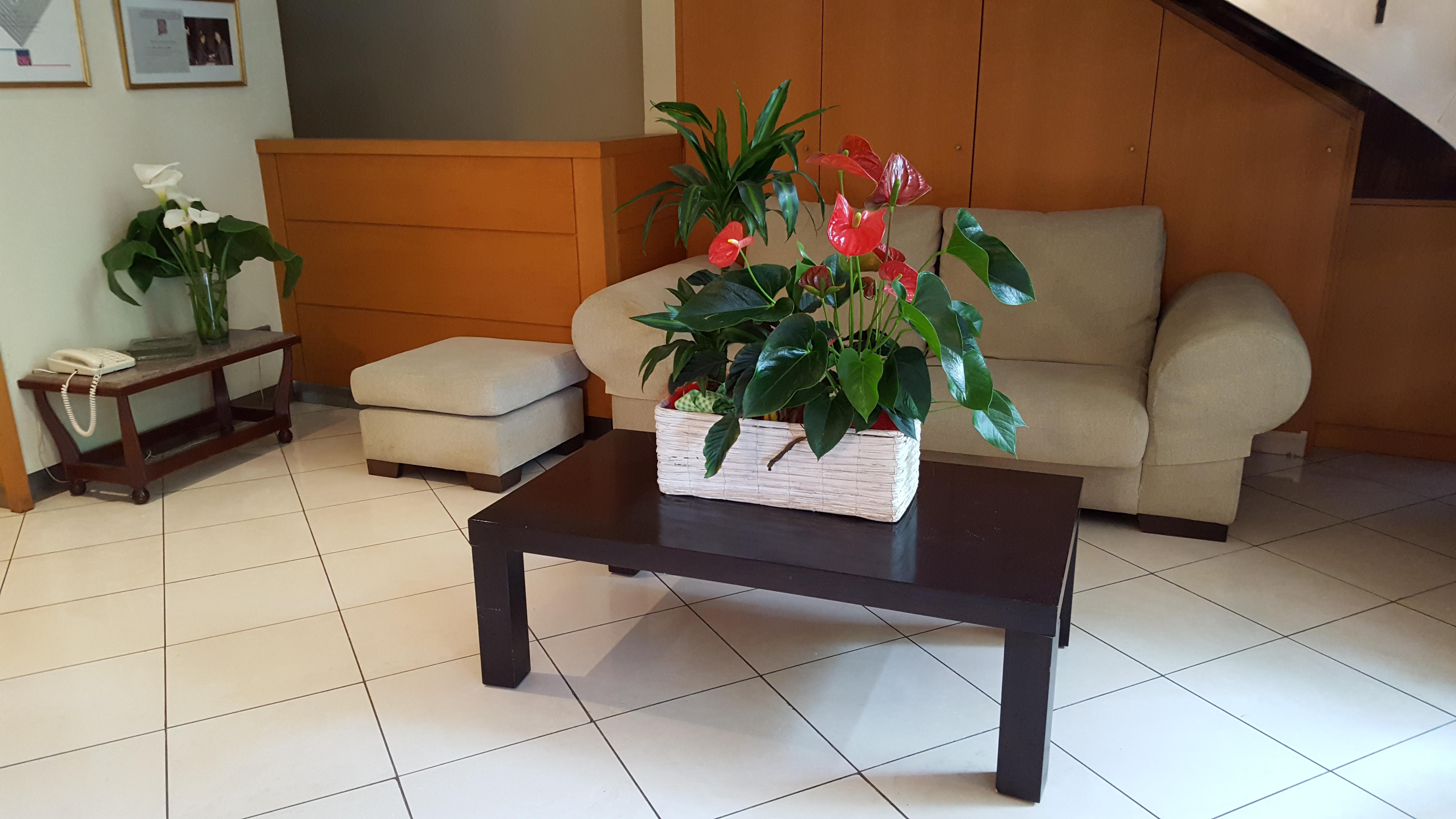 Hotel Segle XX Tremp Bagian luar foto